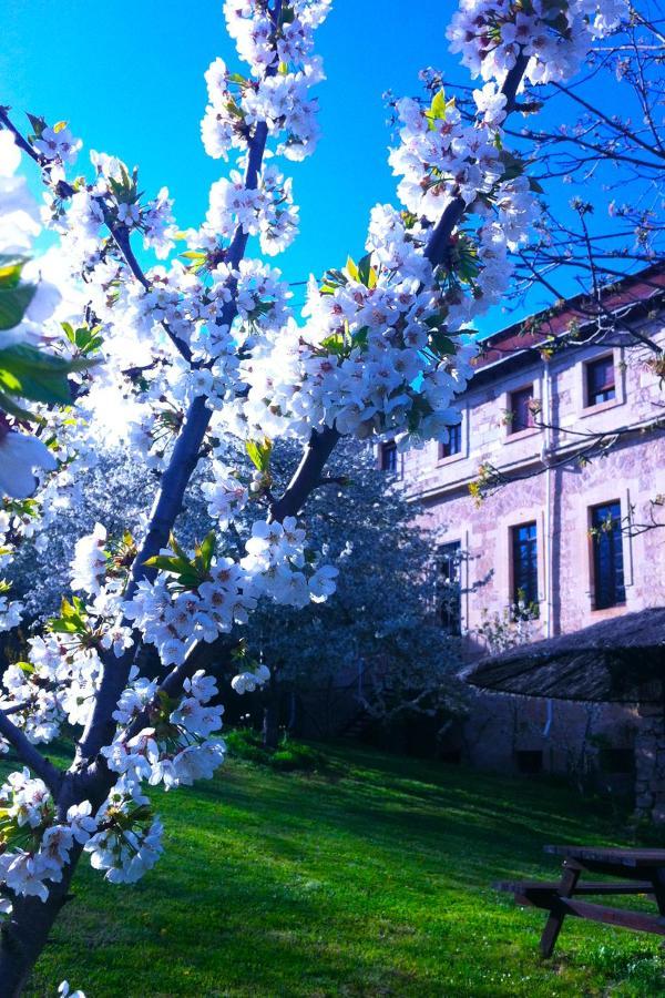Arte Y Natura Valdivielso Quintana de Valdivielso 外观 照片
